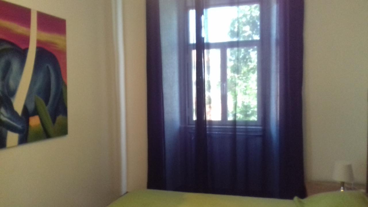 The Swallow Albergue